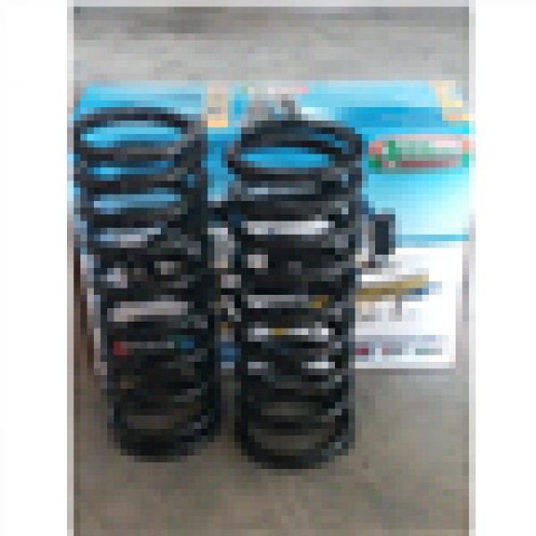 Пружини посилені задні EFS Mitsubishi Pajero/Hyundai Galloper/Terracan (MIT-101HDE)